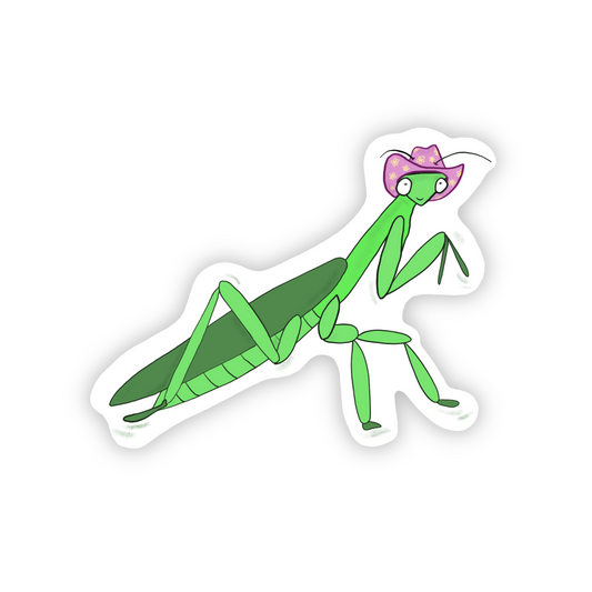 Mantis with a Cowboy Hat