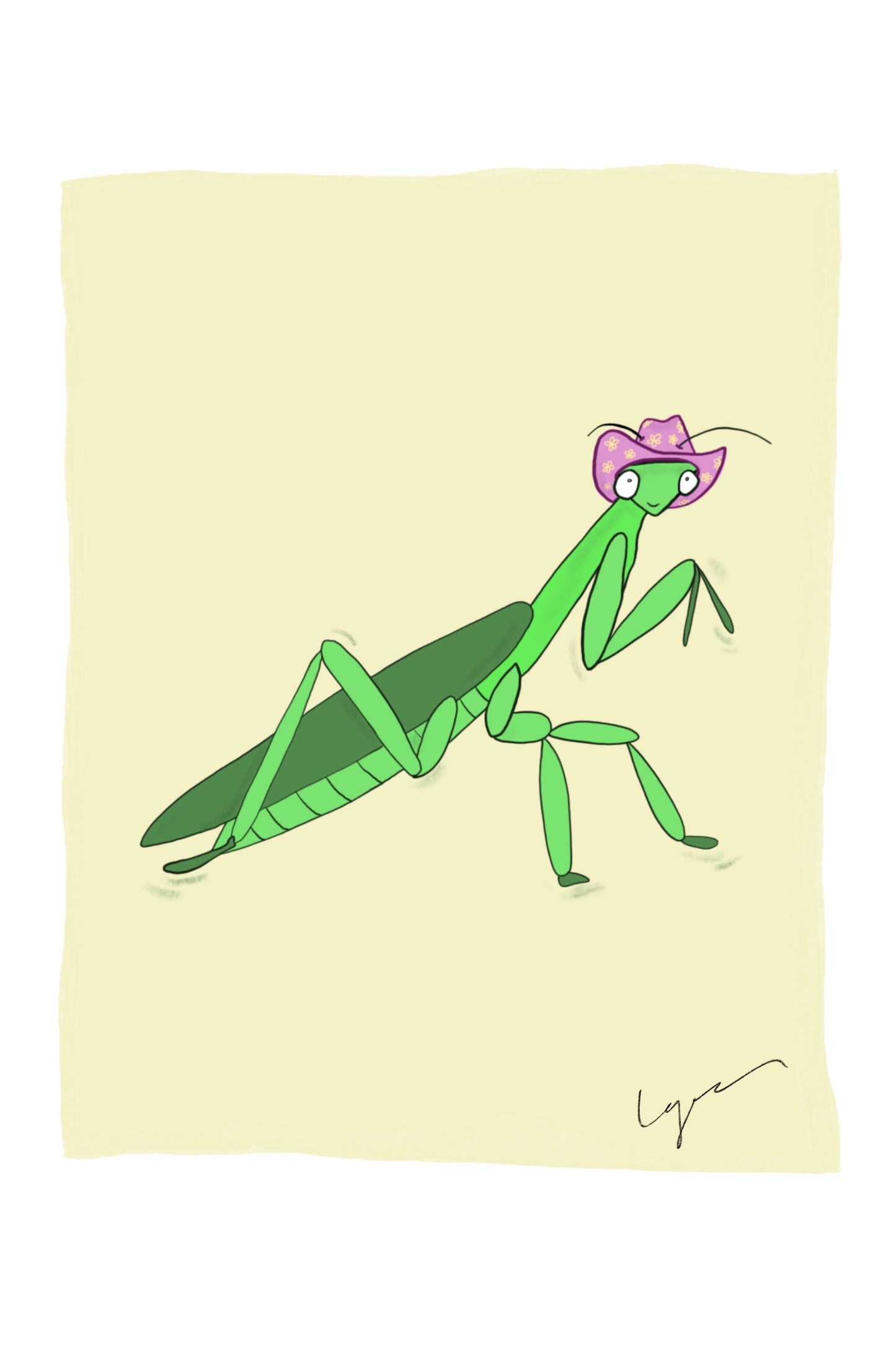 Mantis in a Cowboy Hat